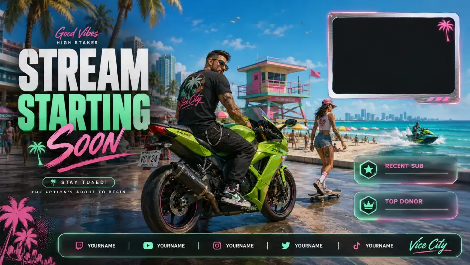 Leonida Stream Overlay 28
