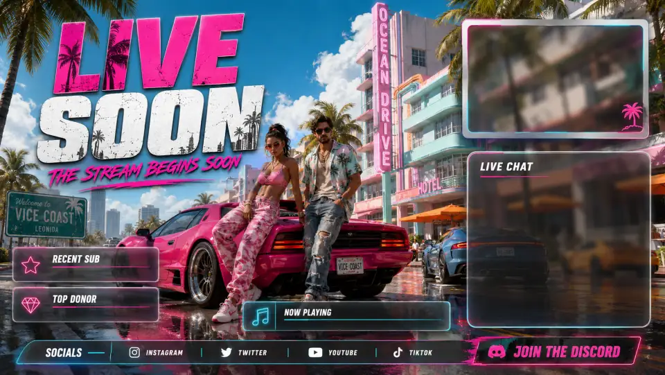Leonida Stream Overlay 29