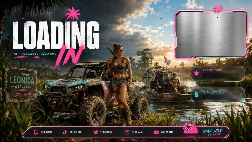 Leonida Stream Overlay 35