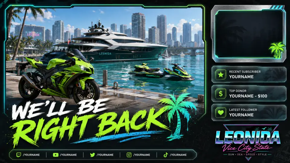 Leonida Stream Overlay 36