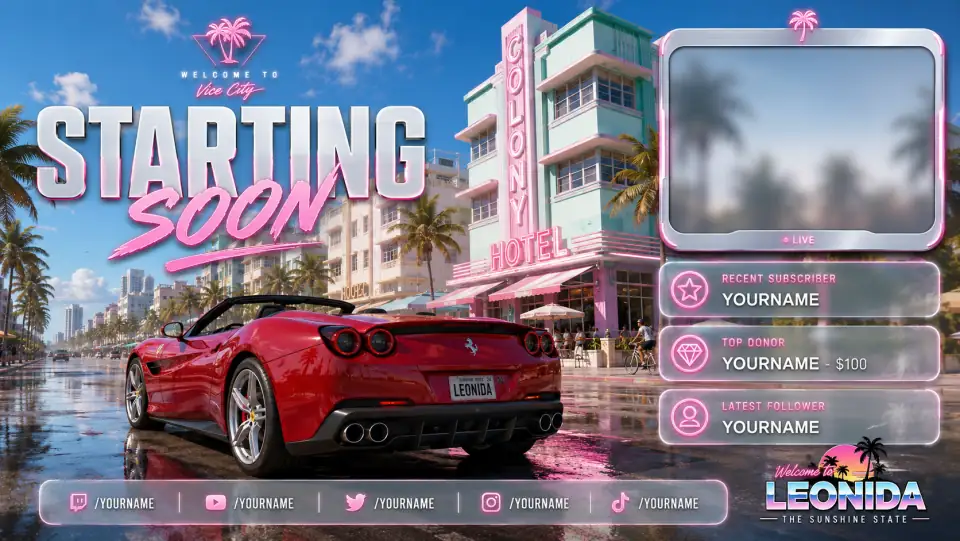 Leonida Stream Overlay 37
