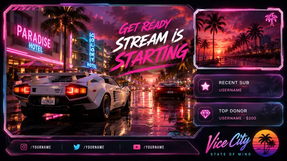 Leonida Stream Overlay 39